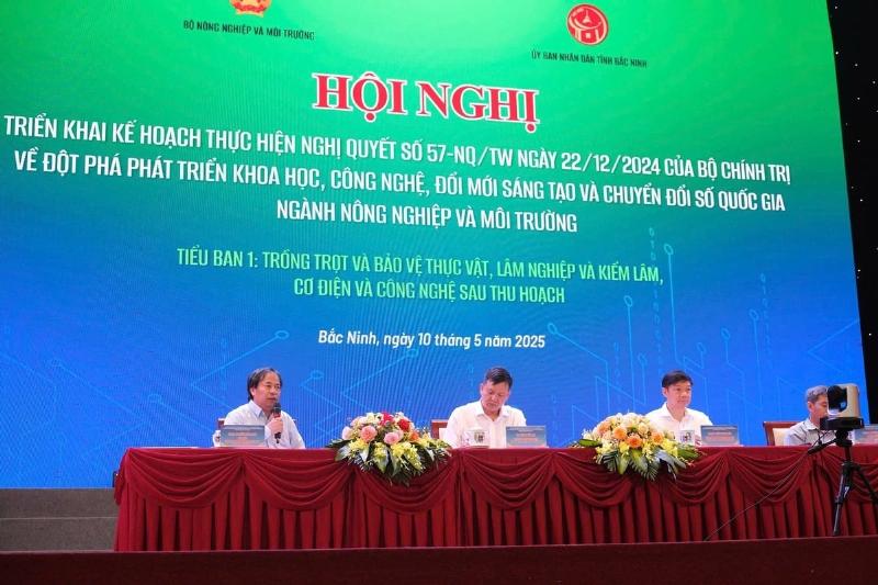 Hinh anh mot cay trong co dau hieu bi phen gay hai hoac mot cay chiu phen phat trien tot